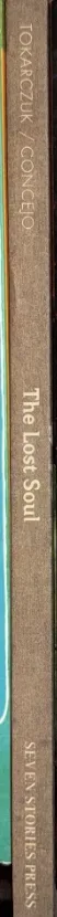 The Lost Soul by Olga Tokarczuk (illus. Joanna Concejo)