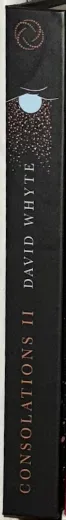 Consolations II David by Whyte