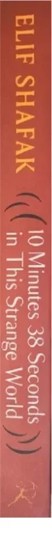 10 Minutes 38 Seconds in This Strange World by Elif Shafak