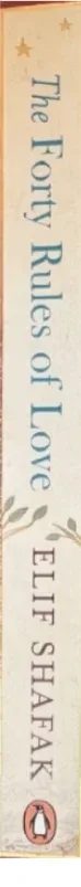 The Forty Rules of Love by Elif Shafak